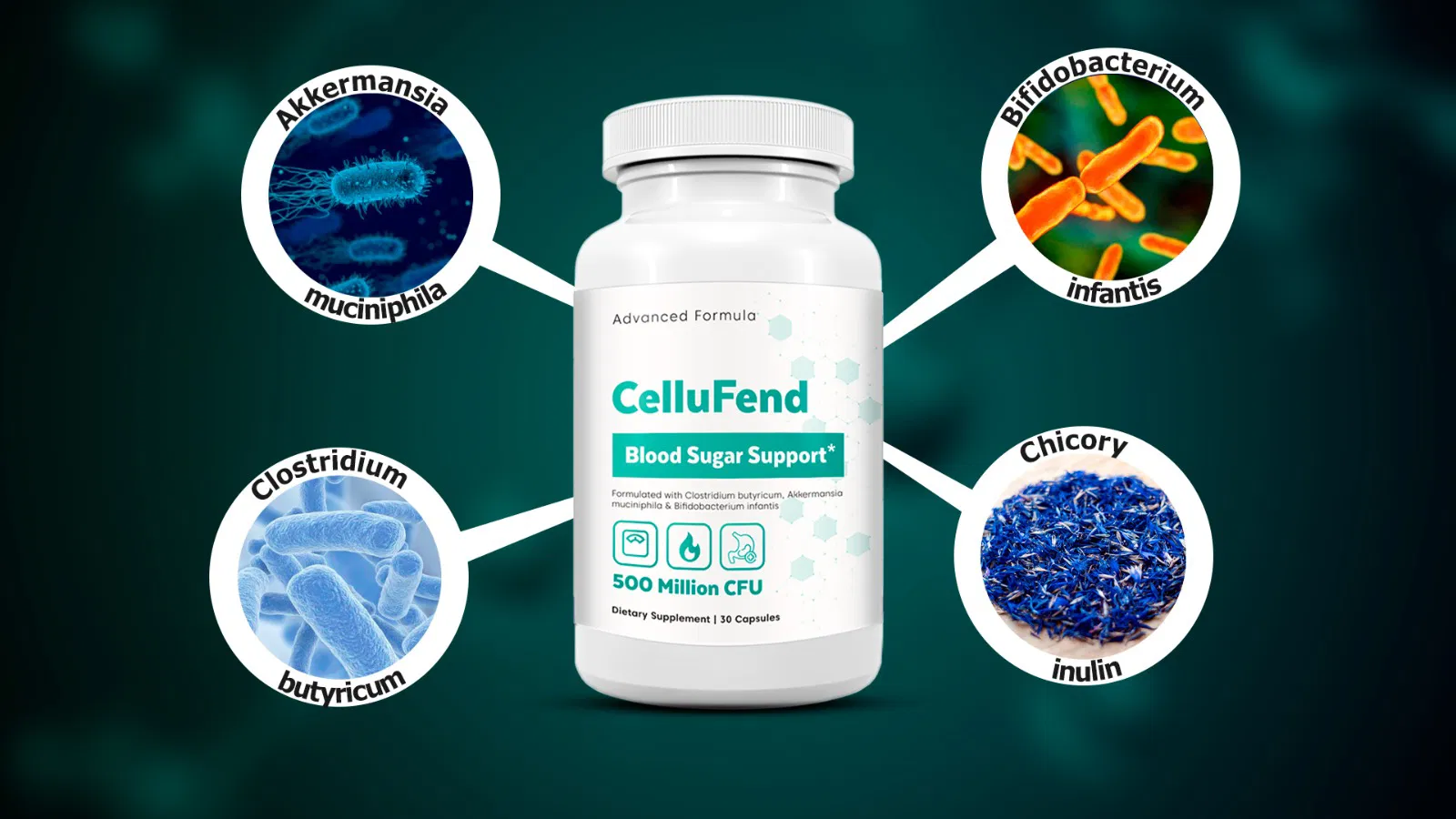 How Does Cellufend Works?